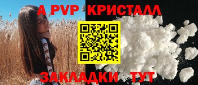 спиды Гай