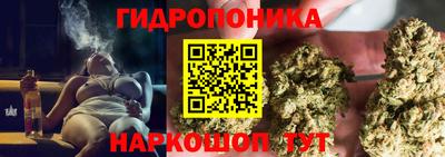 скорость Гагарин