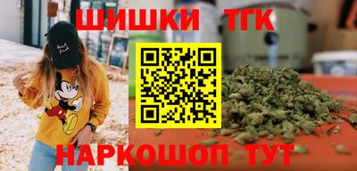 спиды Гай