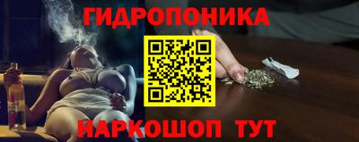 спиды Гай