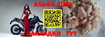 спиды Гай