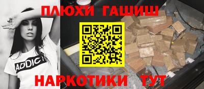 спиды Гай