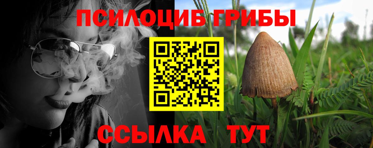 Галлюциногенные грибы GOLDEN TEACHER Надым