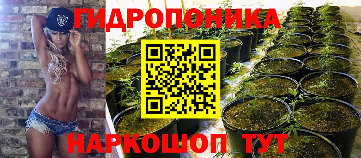 Марихуана OG Kush Надым